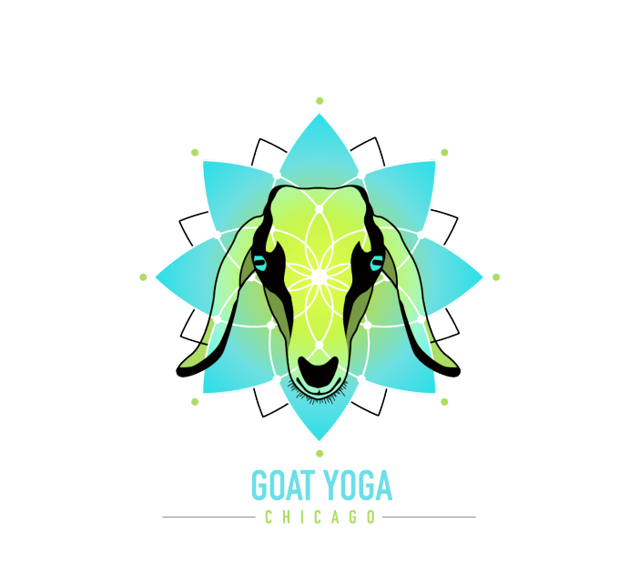 Chicago Goat Yoga