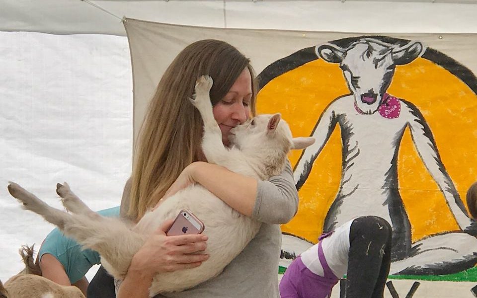 Goat Yoga Goat Yoga
