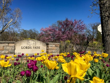 Lords Park