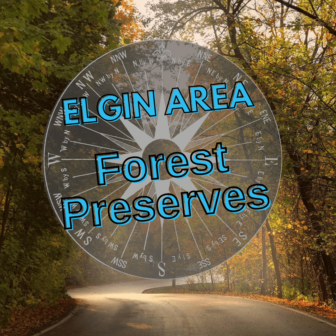 Bowes Creek Wood Forest Preserve