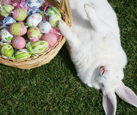 Easter Eggs and Bunnies 2023