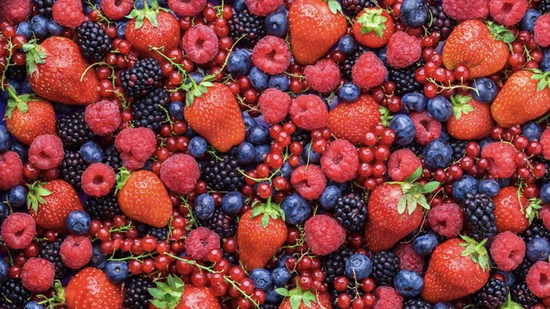 Garden Berry Cafe Hampshire Explore Elgin Area