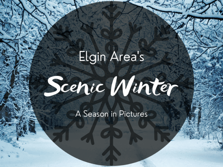 A Scenic Elgin Area Winter