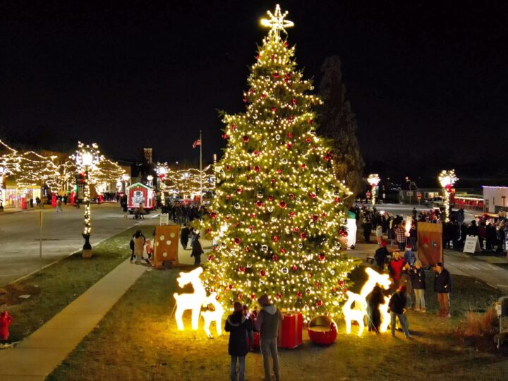 Home for the Holidays: Elgin Area Tree Lightings