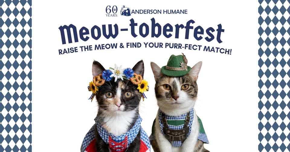 Meow-Toberfest Anderson South Elgin